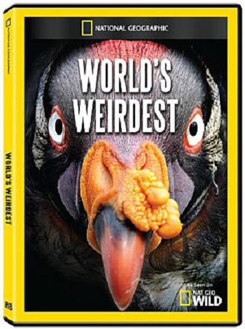 National Geographic - World039;s Weirdest: Freaks of Nature (2012) CONVERT HDTV x264- TASTETV