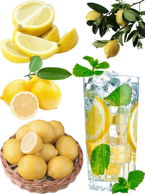 Фотосток: цитрусовые фрукты - Лимон
