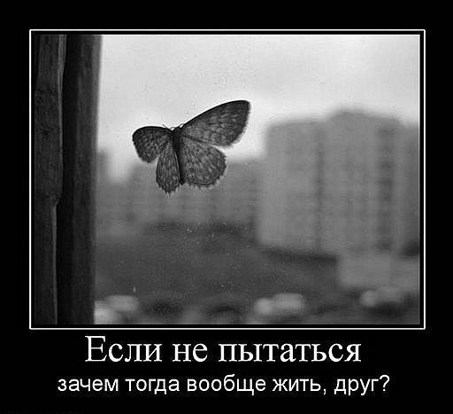 http://i41.fastpic.ru/big/2012/0702/c8/b568c41323099c7839bed47743cfd4c8.jpg