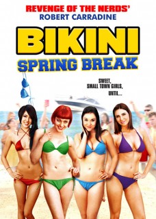 Bikini Spring Break (2012) DVDRip 350MB 