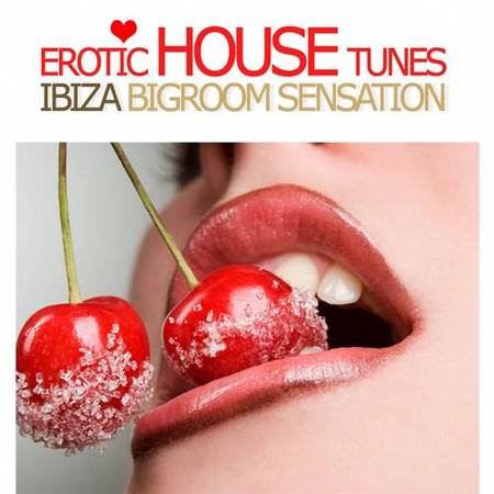 VA - Erotic House Tunes Vol.1: Ibiza Bigroom Sensation (2012)