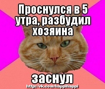 http://i41.fastpic.ru/big/2012/0717/46/489b4e95fa1dead1cc6ec6c2fbfa1b46.jpg