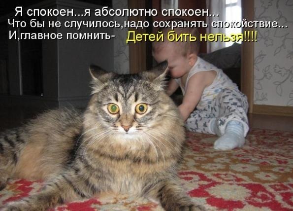 http://i41.fastpic.ru/big/2012/0717/56/2e2714eb9e630496458ba5703636ef56.jpg