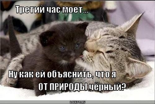 http://i41.fastpic.ru/big/2012/0717/93/0730d67ca636313fea0b0bd2f346b093.jpg
