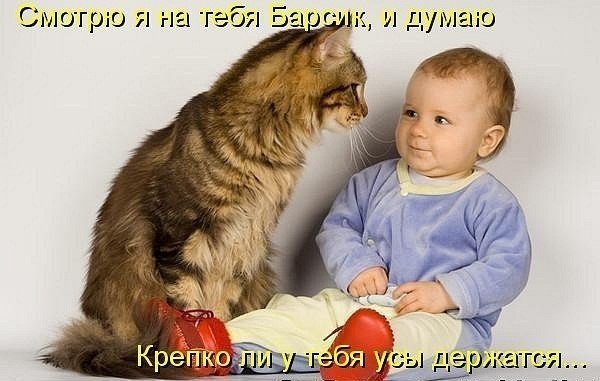 http://i41.fastpic.ru/big/2012/0717/b4/815768f42dbaff9232f3a120e8c6c3b4.jpg