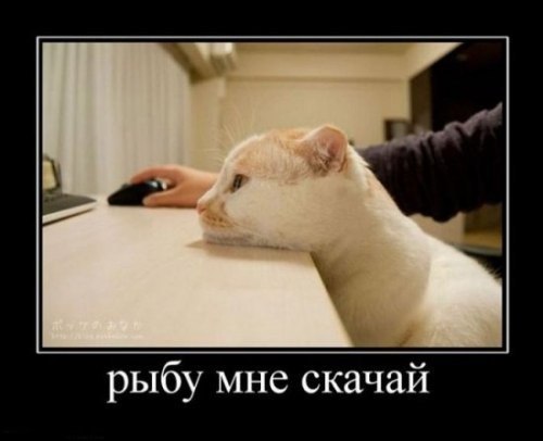 http://i41.fastpic.ru/big/2012/0717/eb/03eefdef316b946cce1c70b5ae6f9beb.jpg