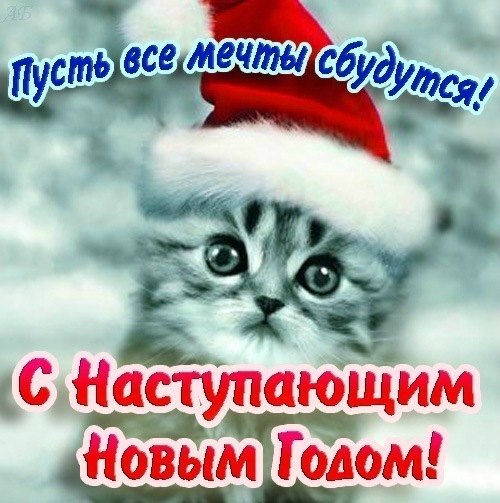 http://i41.fastpic.ru/big/2012/0717/ec/f9e39813ba31676adee7f28ba6b448ec.jpg