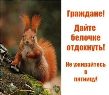 http://i41.fastpic.ru/big/2012/0721/61/d3755f416feba14d7352ba2e43d40761.jpg