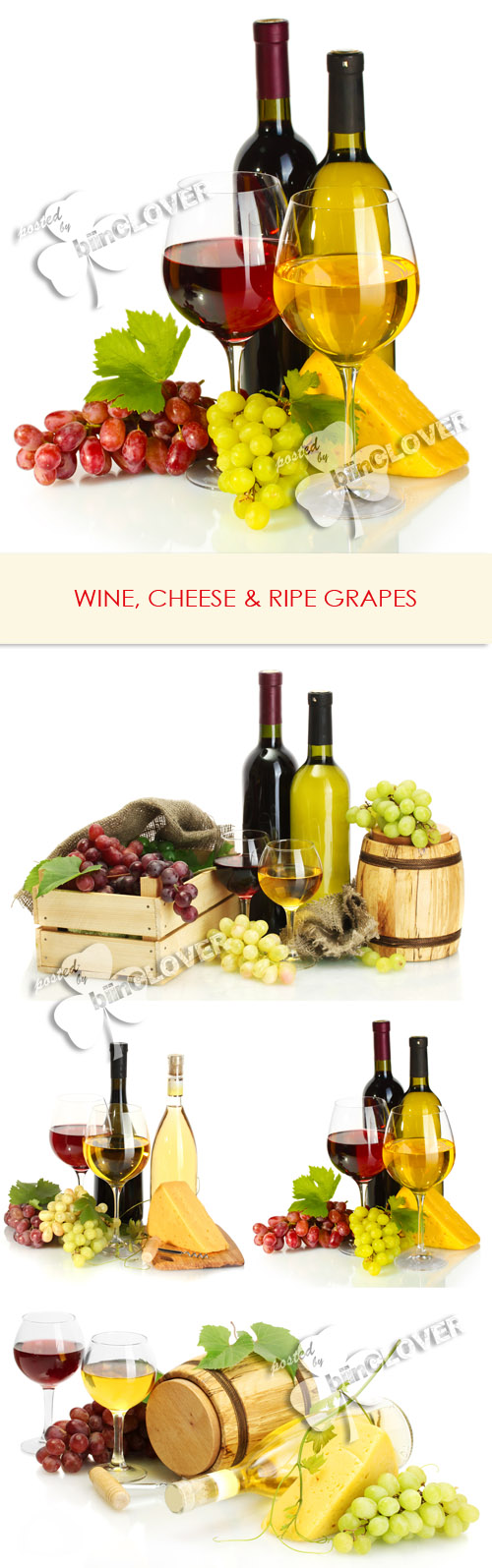 Wine, cheese and ripe grapes 0212