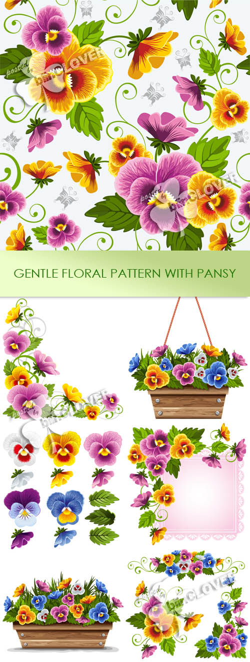 Gentle floral patterns with pansy 0214