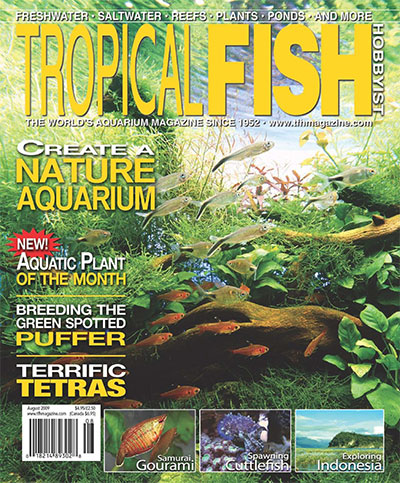Tropical Fish Hobbyist - August 2009