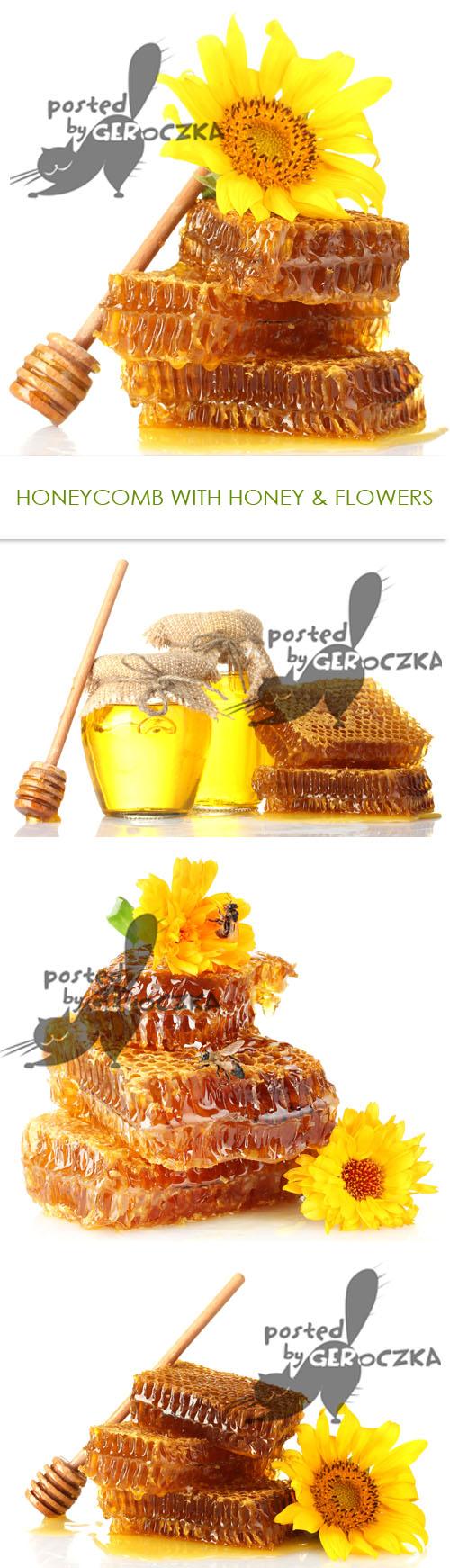 Honeycomb with honey and flowers