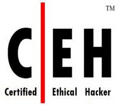 [Eccouncil] Ethical Hacking CEHv7: Videos, Tools and Tutorials (2011)