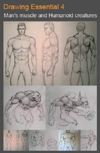 Idrawgirls - Drawing Essential 4: How to draw male figure, body variations and humanoid creatures (2012)