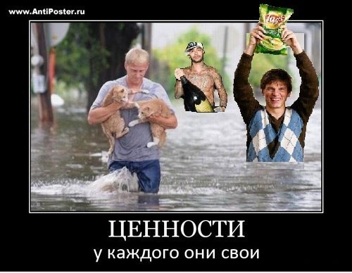 http://i41.fastpic.ru/big/2012/0806/10/314d9392959d9a3a2832edbb6de96710.jpg