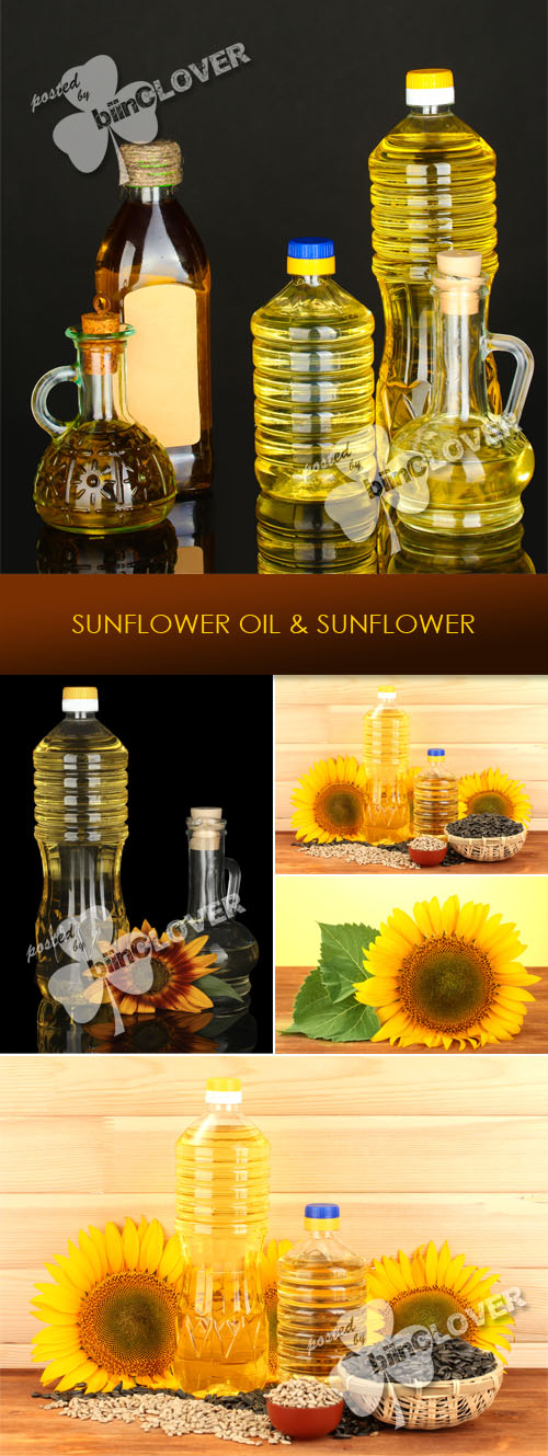 Sunflower oil and sunflower 0223
