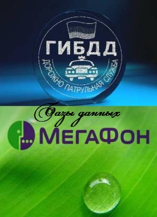 База данных ГИБДД 2012 + полисы Осаго и Каско по России +  База данных Мегафон (2012/RUS)