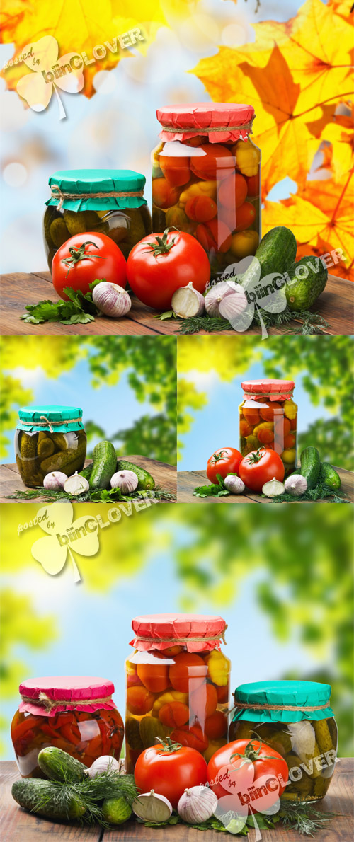 Autumn background with vegetables 0239