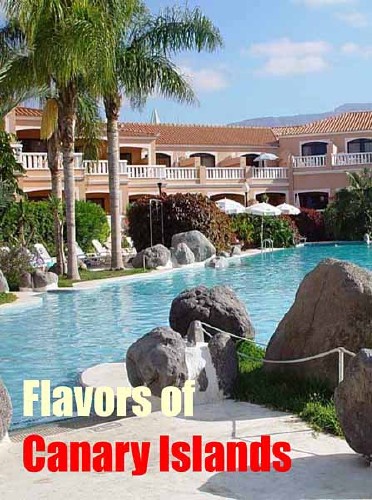    / Flavors of Canary Islands (2011) HDTVRip 