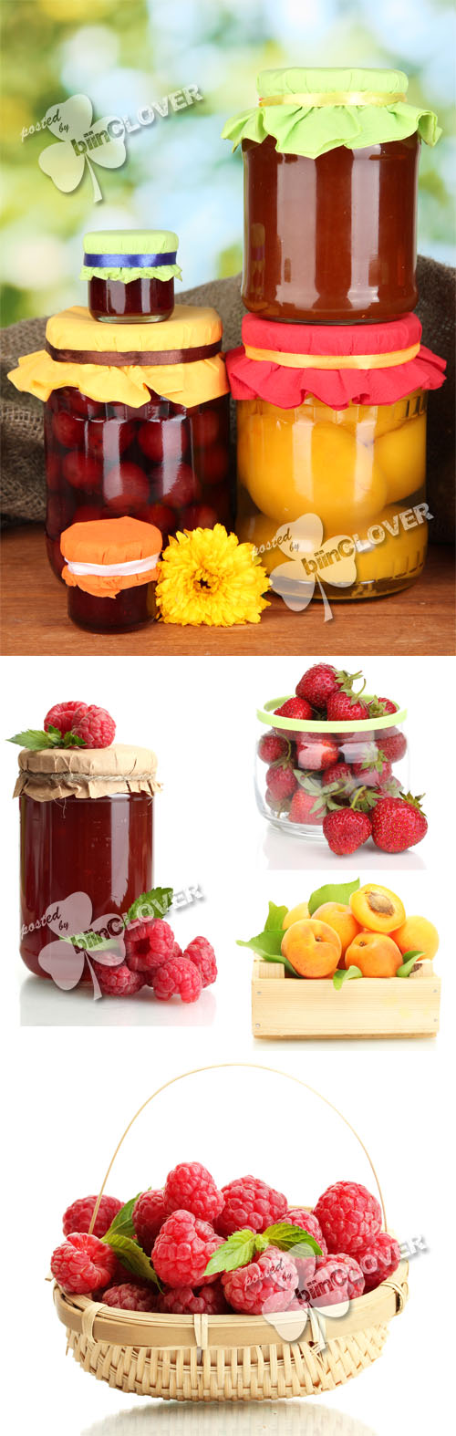 Tasty fruits and jam 0256