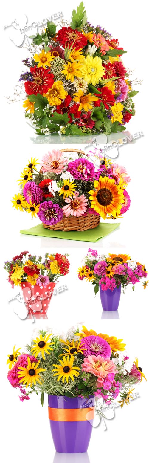 Bouquet of beautiful autumn flowers 0264