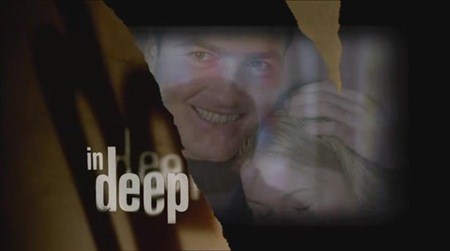 Под Прикрытием / In Deep (1-6 серии) (2001 / DVDRip)