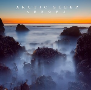 Arctic Sleep - Arbors (2012)