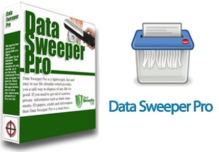 Data Sweeper PRO 3.6.0 + Portable