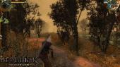 The Witcher: Gold Edition (2007/RUS/RePack  UltraISO)
