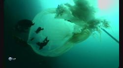    / War with jellyfish (2012) HDTVRip 1080p